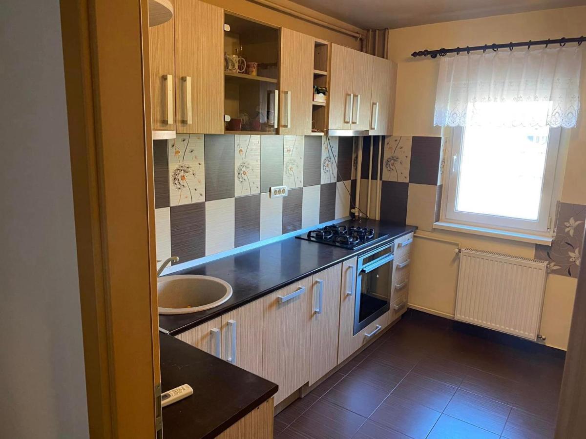 Apartament Piata Verde Тімішоара Екстер'єр фото